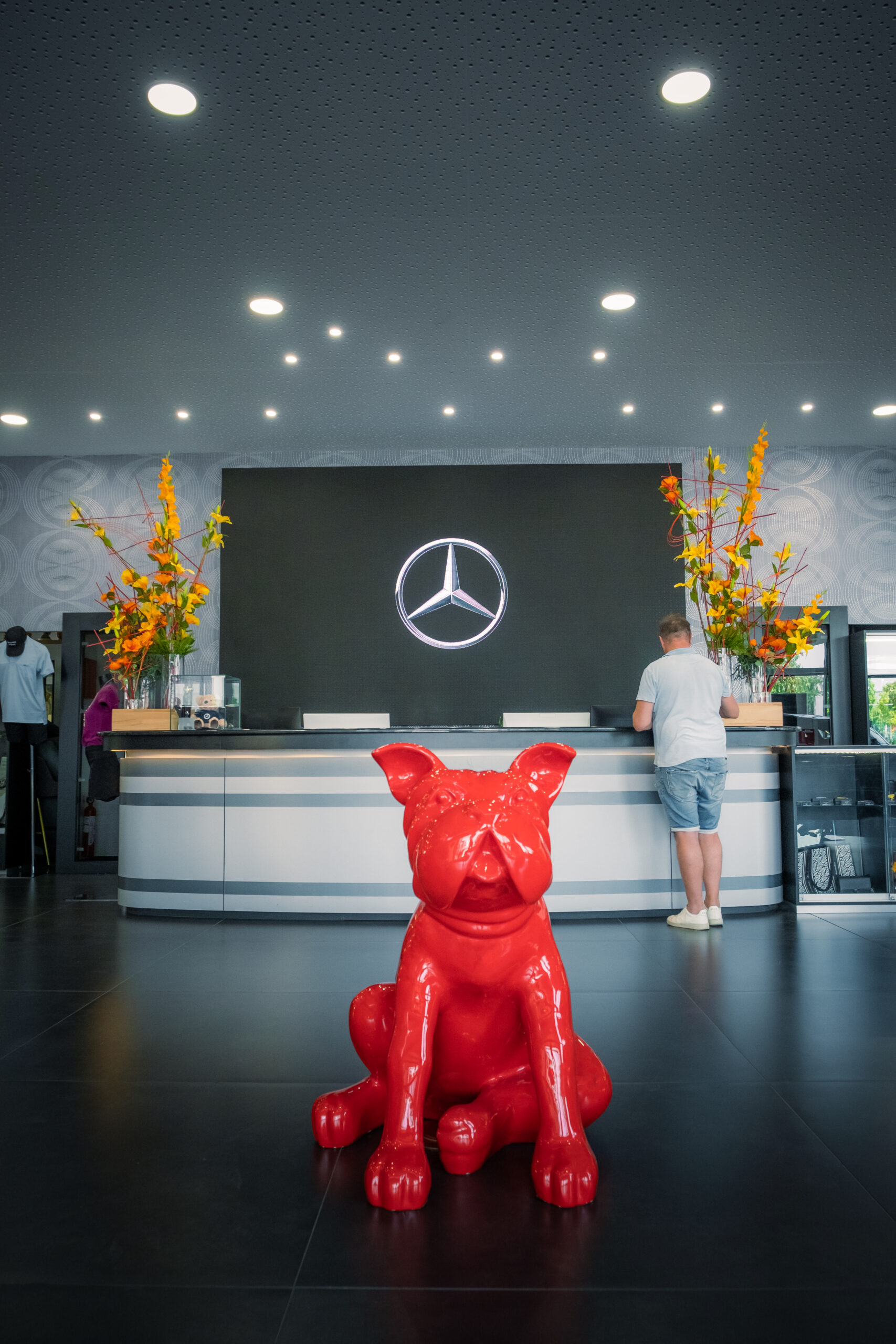 Portrait MB Monopole-40